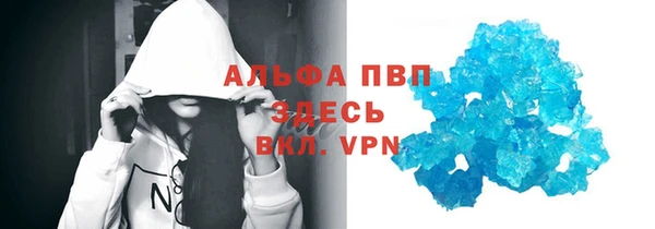 индика Струнино