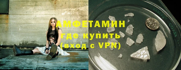индика Струнино