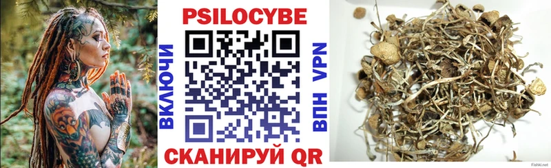 OMG онион  Малоархангельск  Галлюциногенные грибы Psilocybe  закладка 